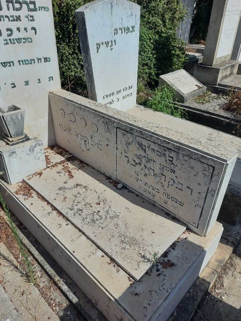 קברו של ברכה "רייכר" ולקר. תמונה 2