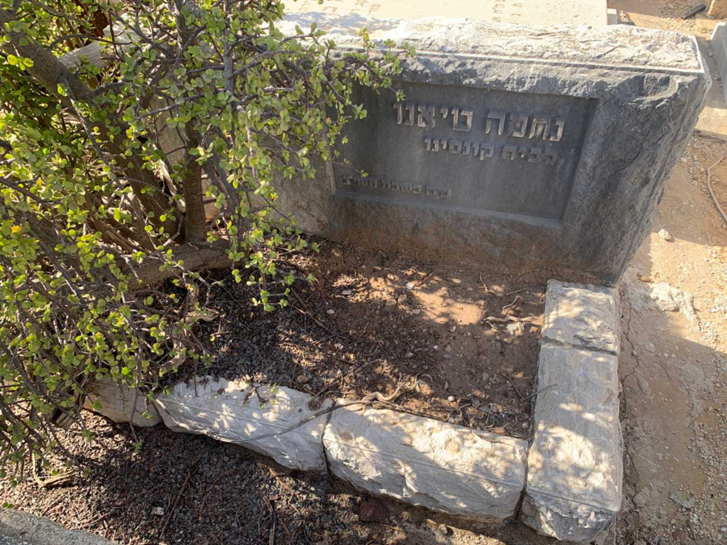 קברו של נחמה טיאנו