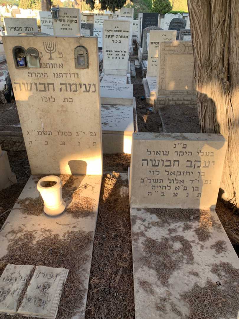 קברו של יעקב חבושה. תמונה 1