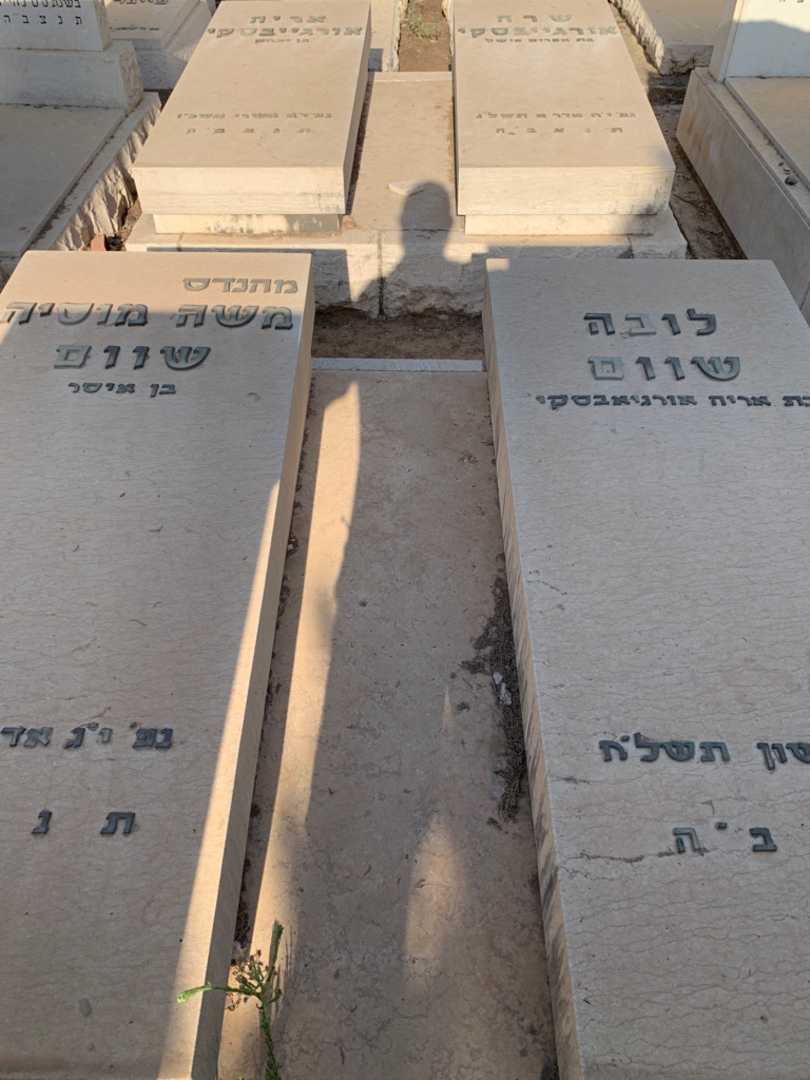 קברו של משה מוסיה שוום. תמונה 1
