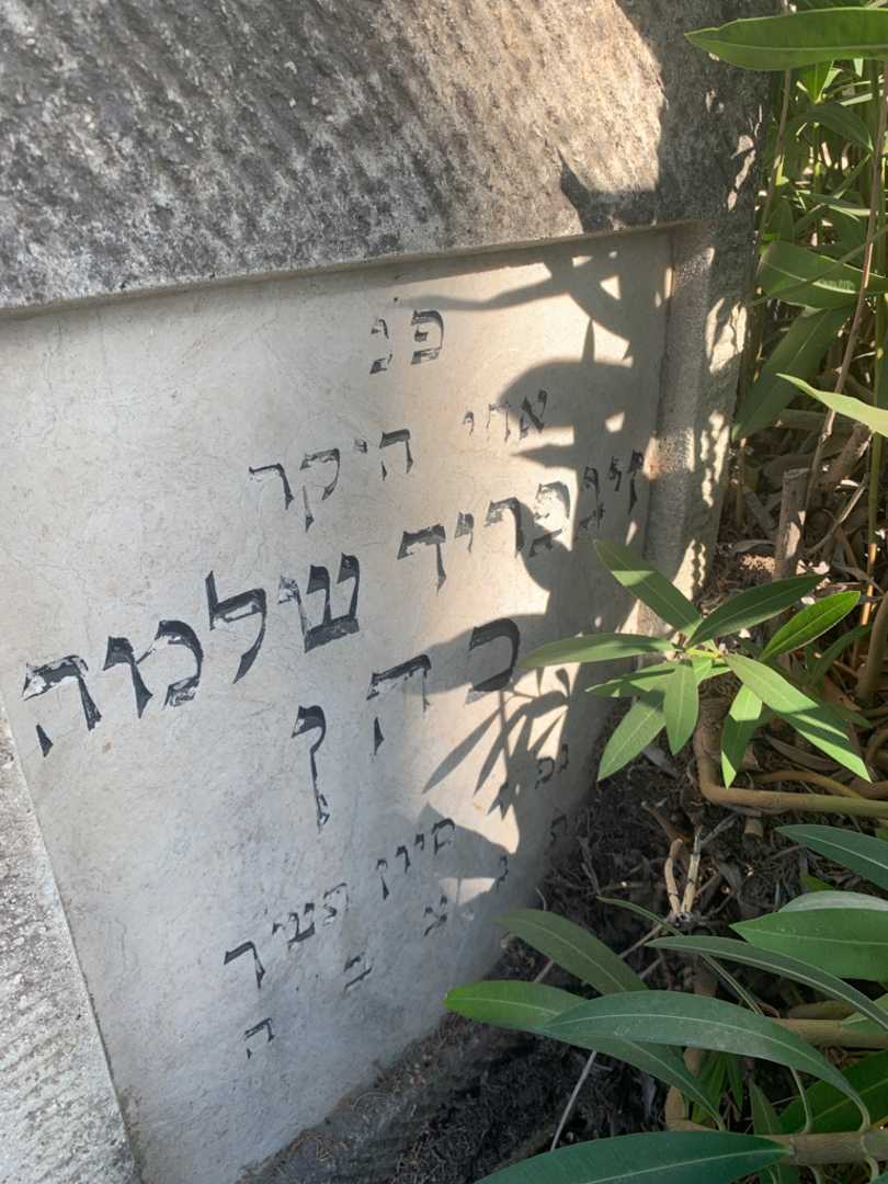 קברו של זיגפריד שלמה כהן