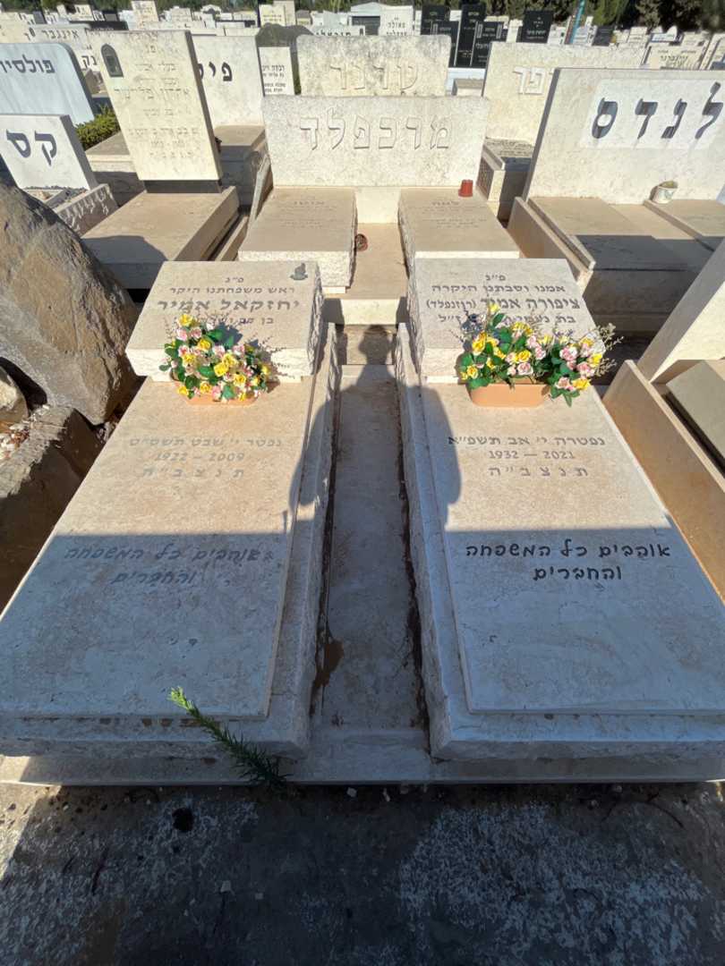 קברו של ציפורה אמיר (רוזנפלד). תמונה 2