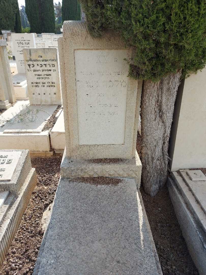 קברו של מלכה גינגולד