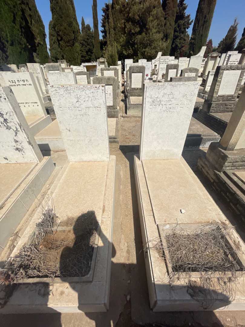 קברו של משה ברוידס. תמונה 1