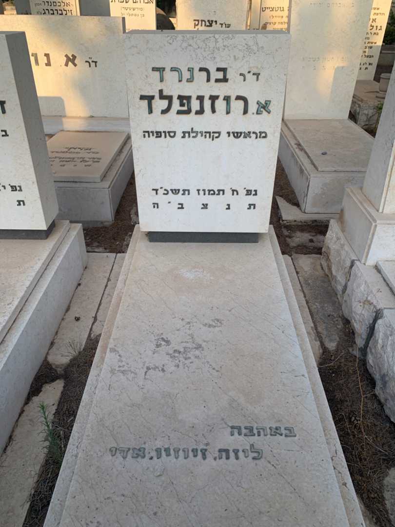 קברו של ברנרד א. רוזנפלד