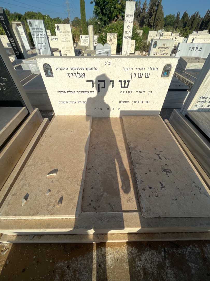קברו של אלויז שוקר. תמונה 2