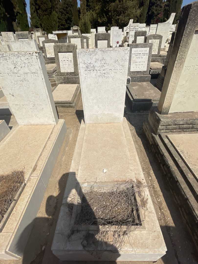 קברו של משה ברוידס. תמונה 2