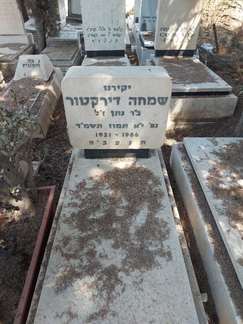 קברו של שמחה דירקטור