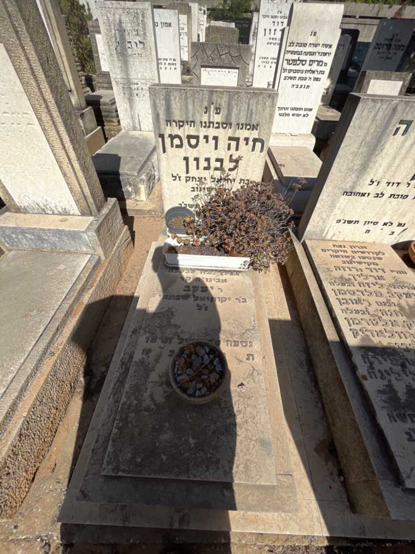קברו של חיה ויסמן לבנון