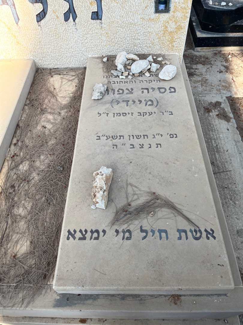 קברו של פסיה צפורה "מיידי" נגלר. תמונה 1