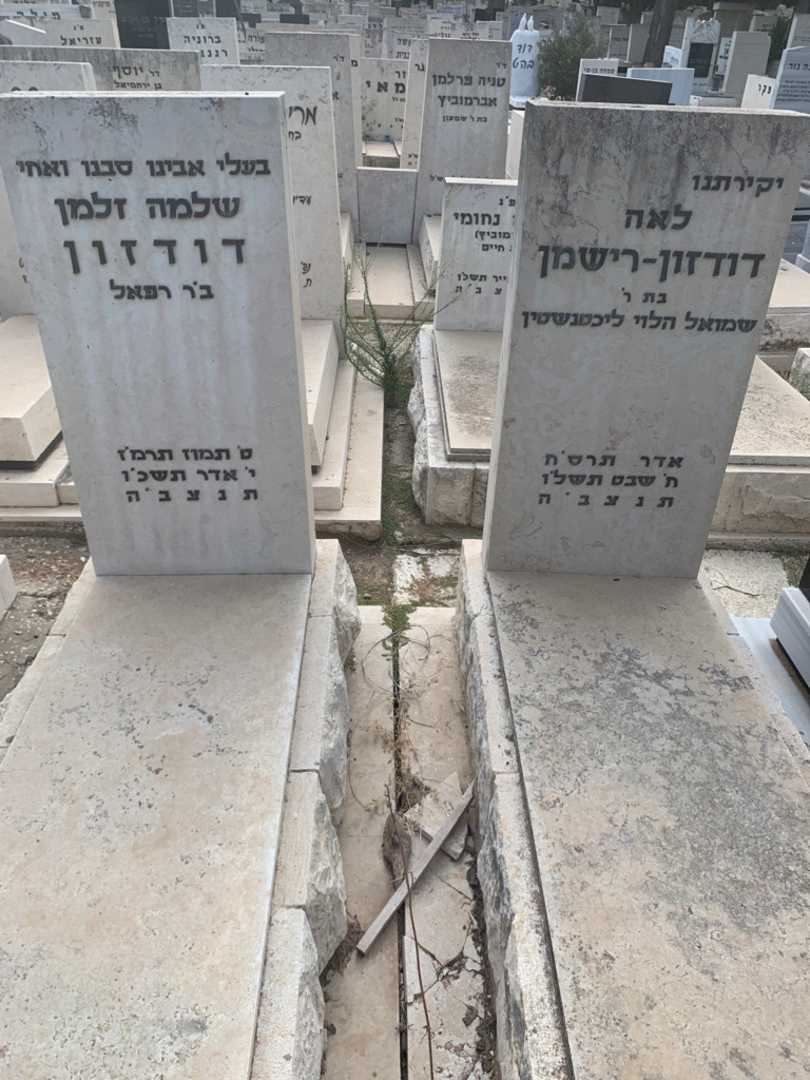 קברו של שלמה זלמן דודזון. תמונה 2