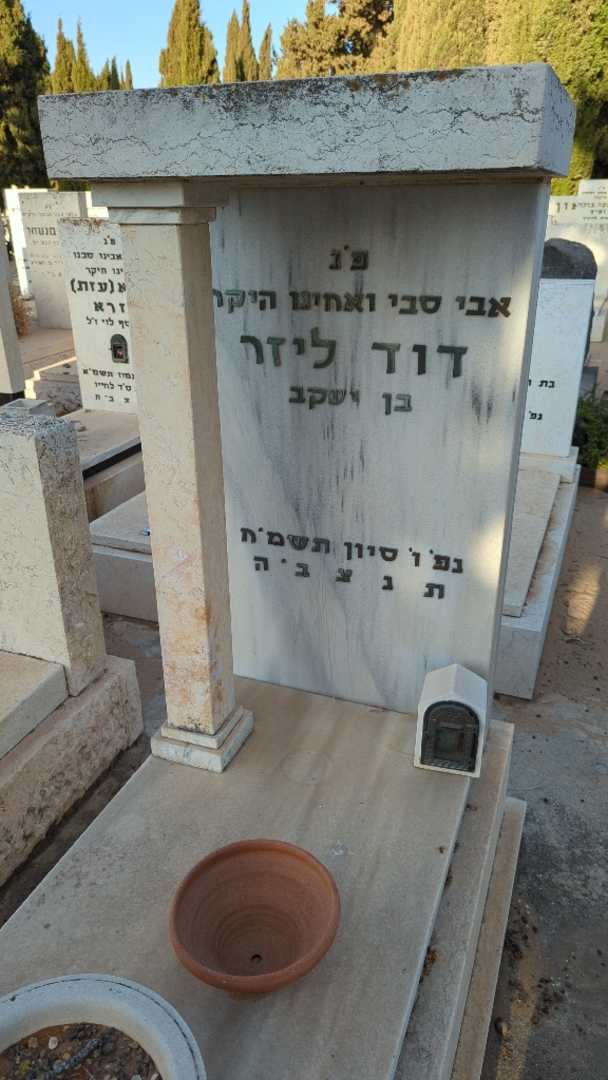 קברו של דוד ליזר. תמונה 1