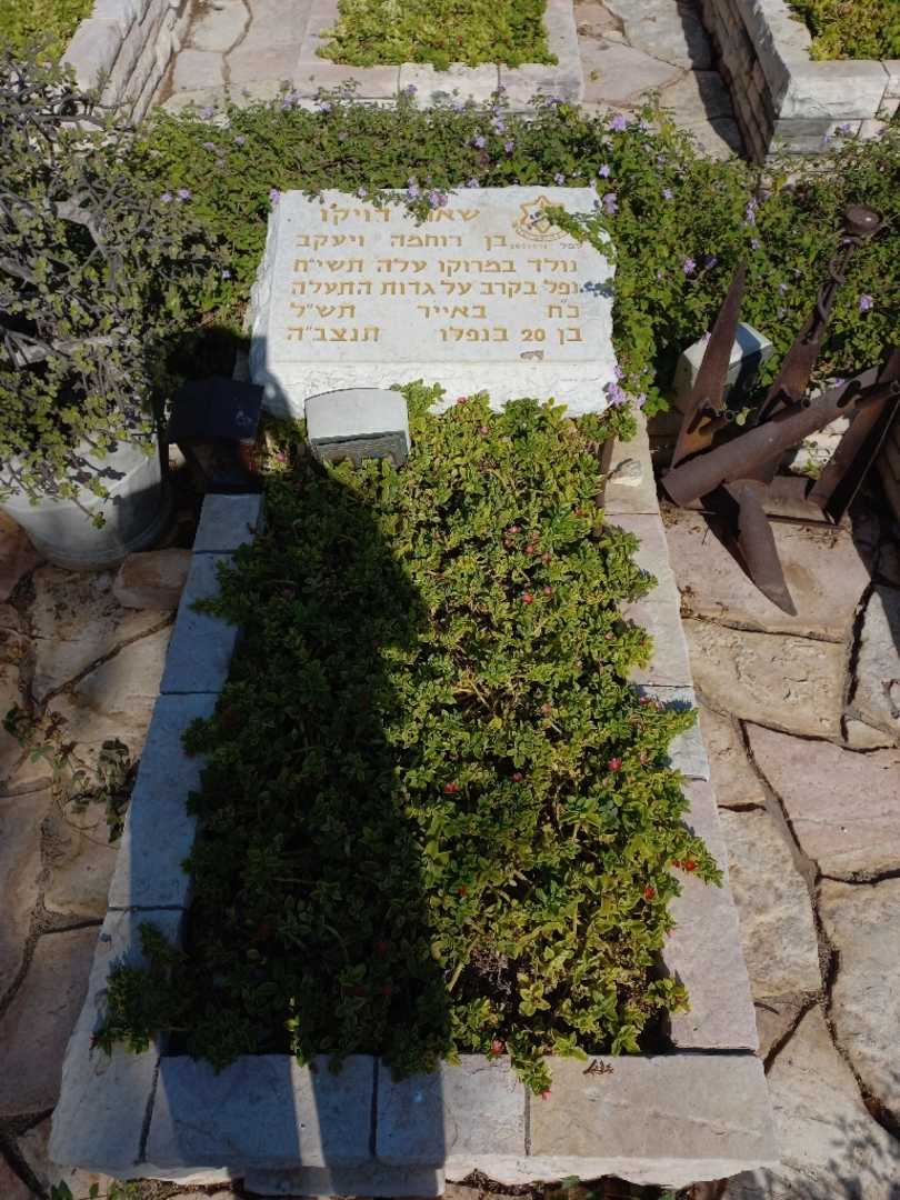 קברו של שאול דויקו