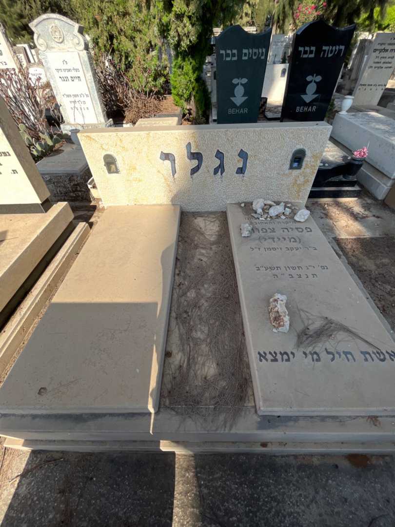 קברו של פסיה צפורה "מיידי" נגלר. תמונה 2