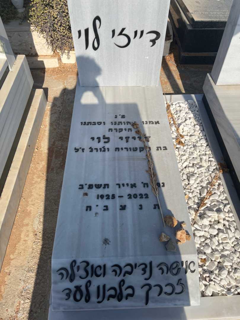 קברו של דייזי לוי. תמונה 1