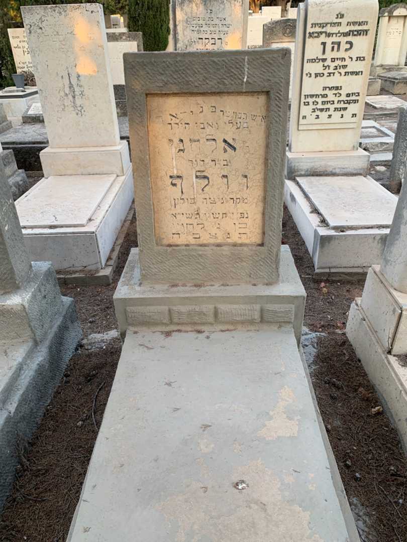 קברו של אלחנן וולף