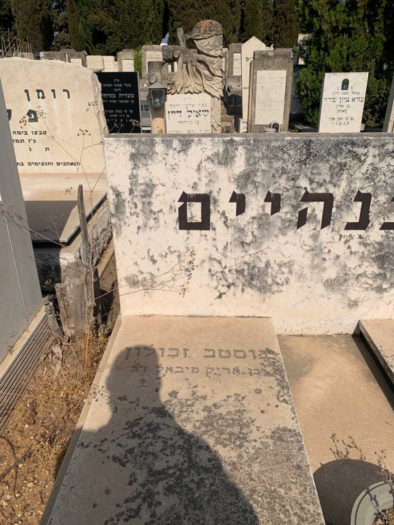 קברו של גוסטב  זבולון ונגנהיים. תמונה 2
