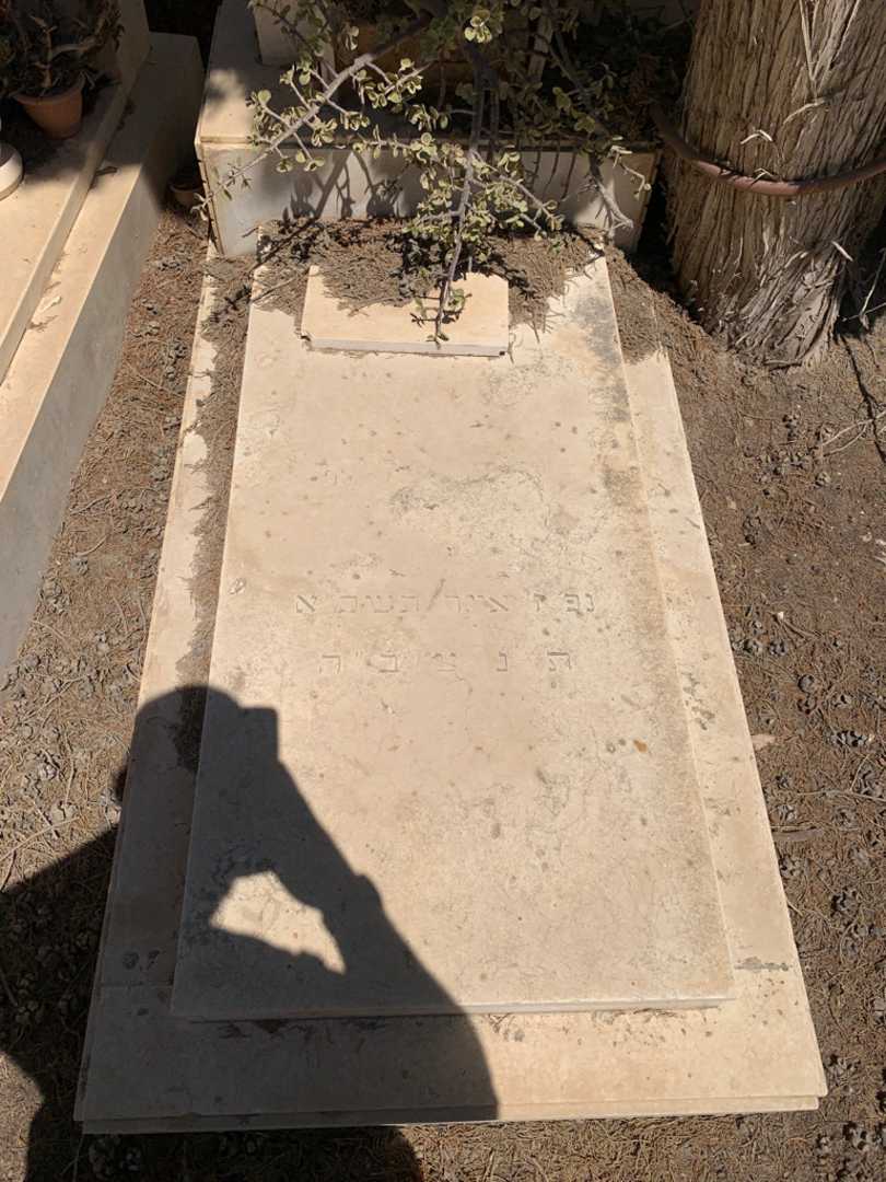 קברו של שרה קויפמן. תמונה 2
