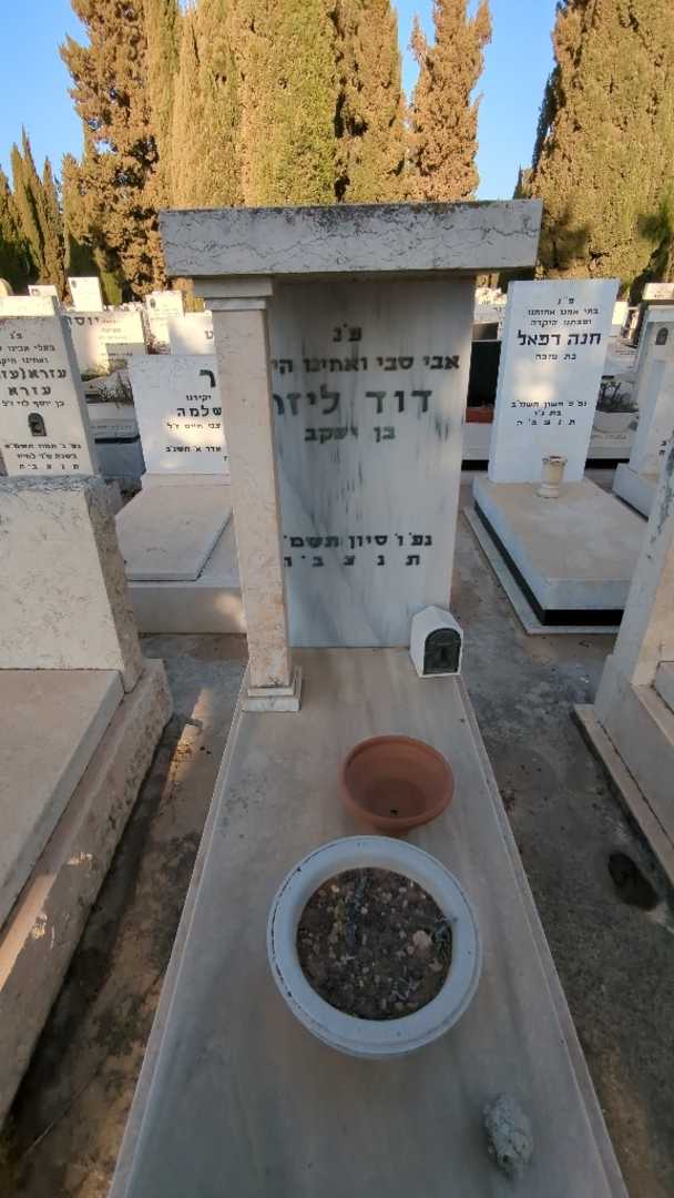 קברו של דוד ליזר. תמונה 2