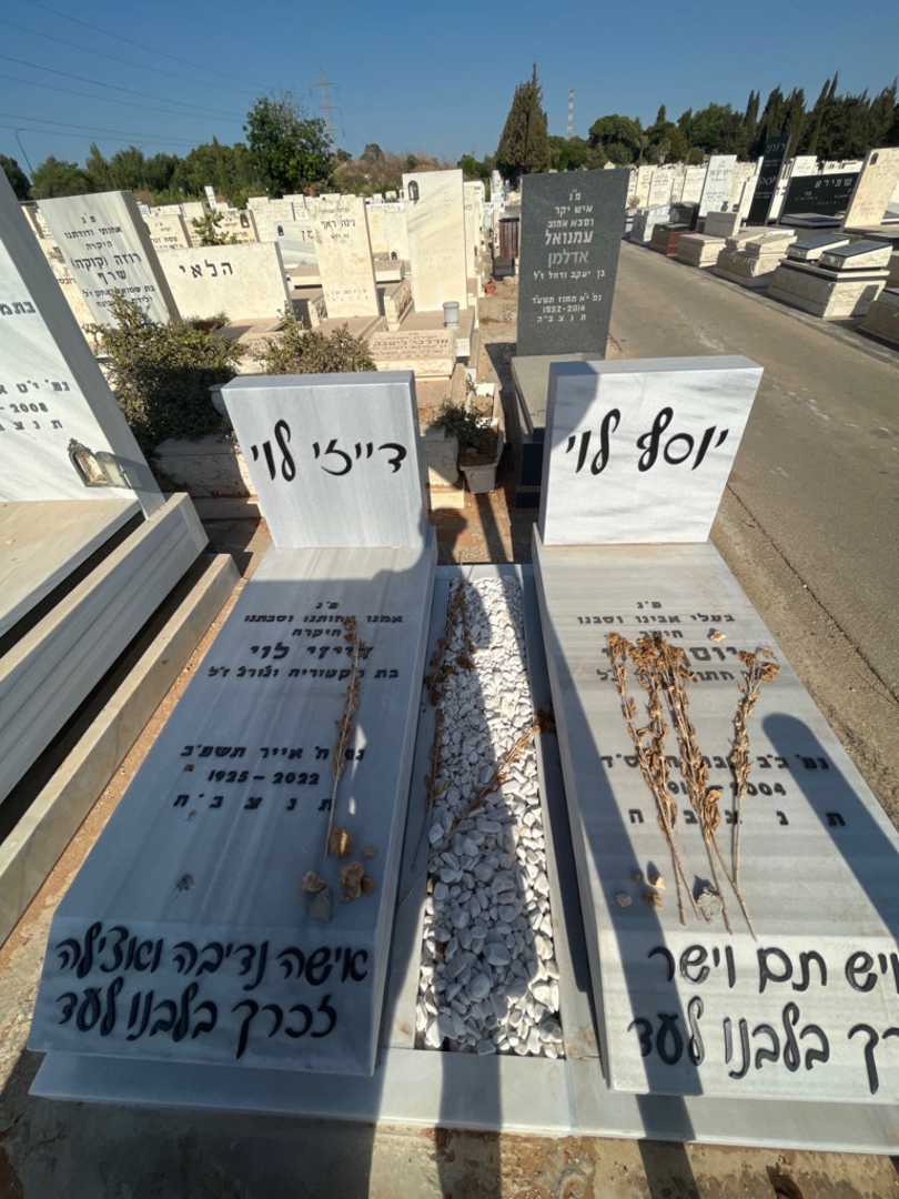 קברו של דייזי לוי. תמונה 2
