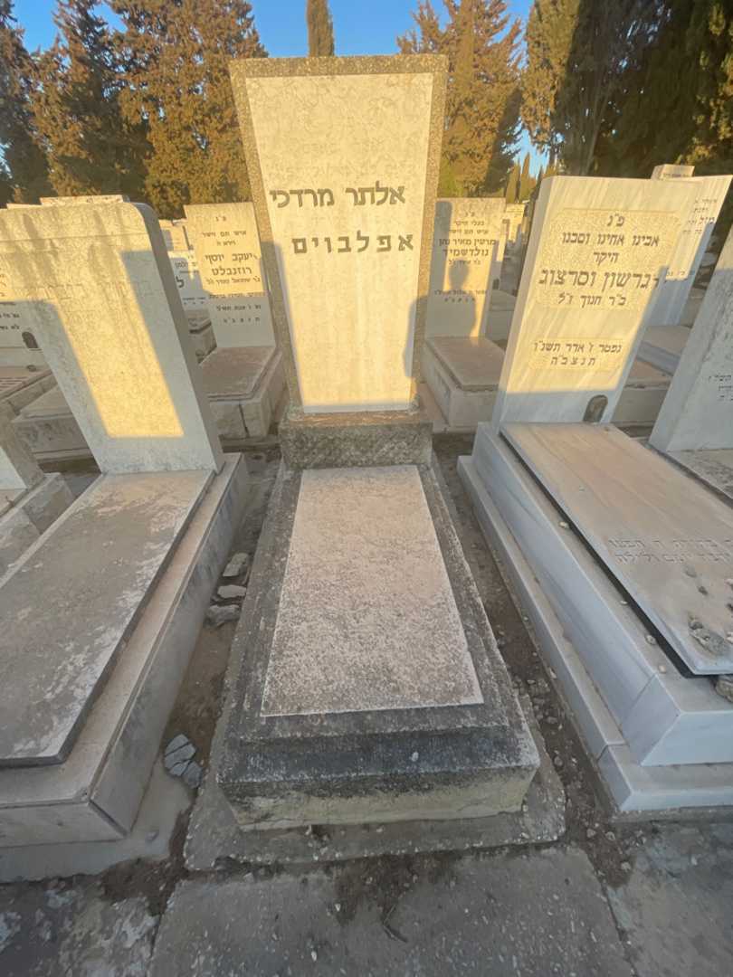 קברו של אלתר מרדכי אפלבוים