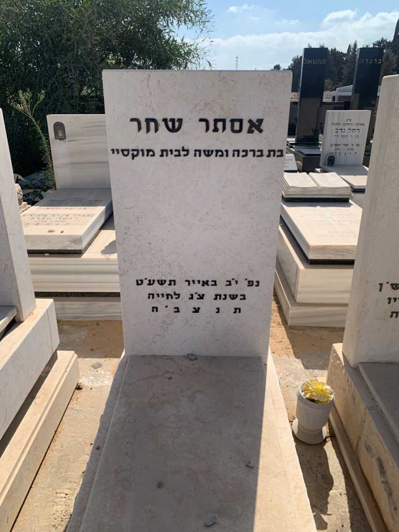 קברו של אסתר שחר