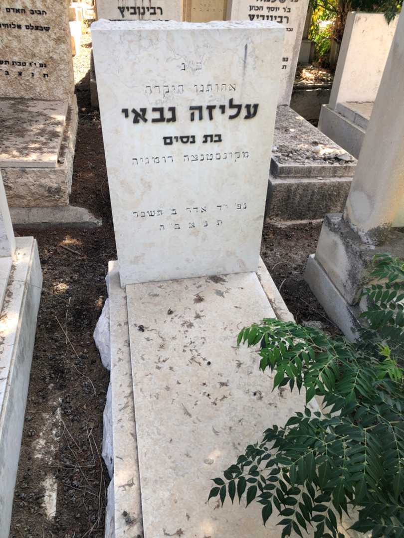 קברו של עליזה גבאי