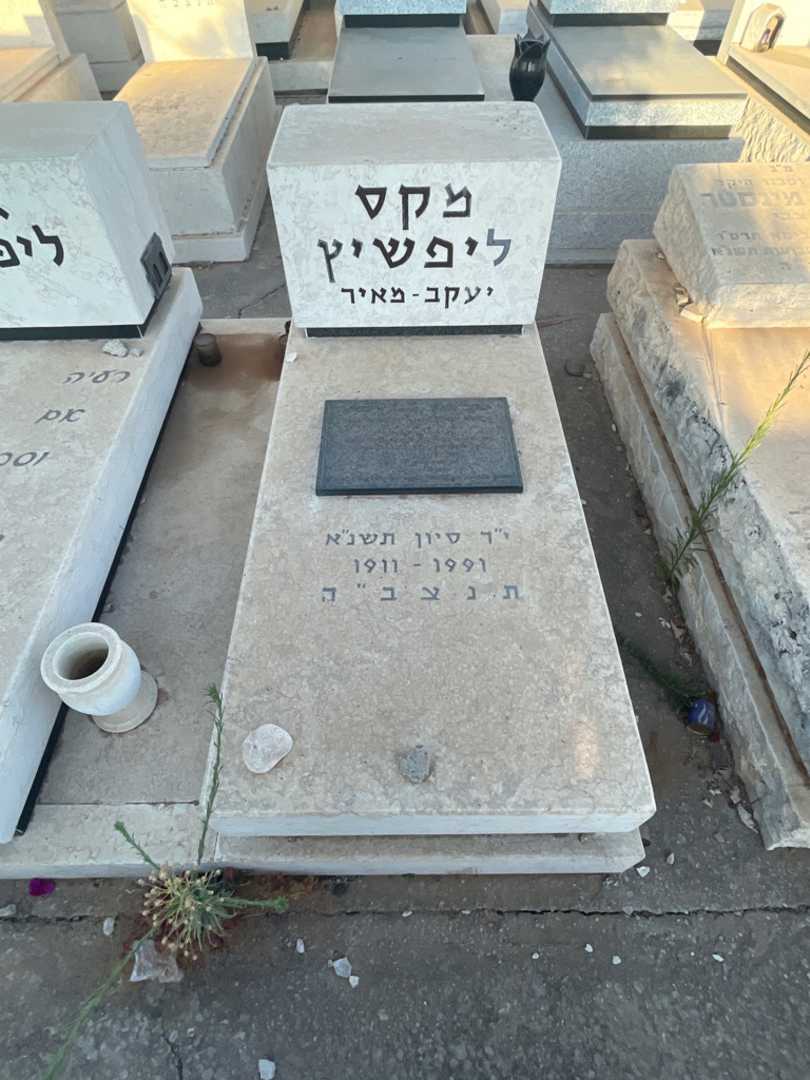 קברו של מקס ליפשיץ. תמונה 2