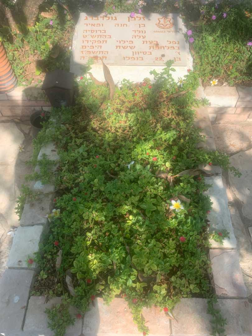 קברו של זלמן גולדברג