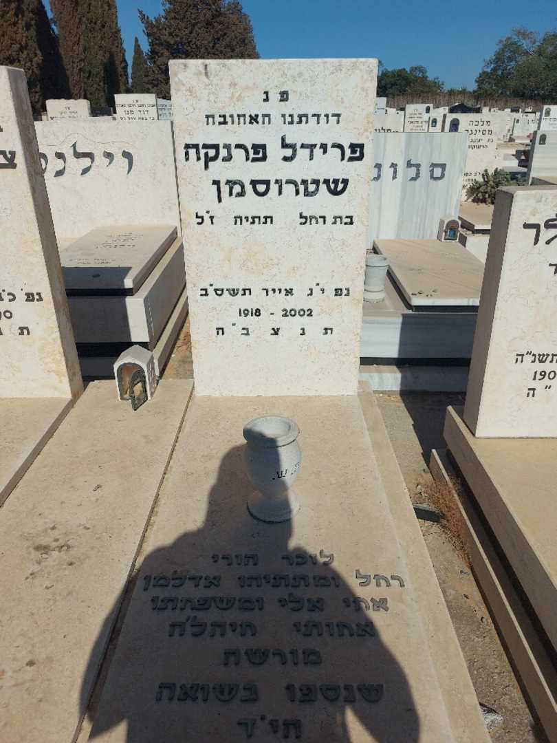 קברו של מתתיהו אדלמן. תמונה 2