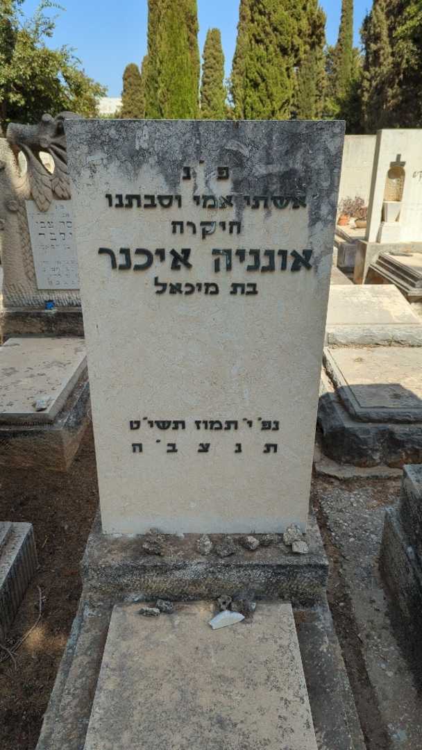 קברו של אוגניה איכנר