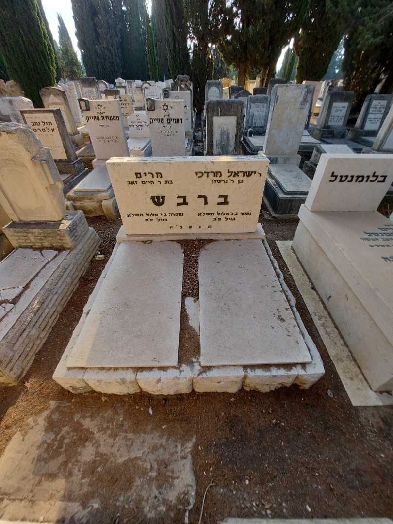 קברו של ישראל מרדכי ברבש. תמונה 1