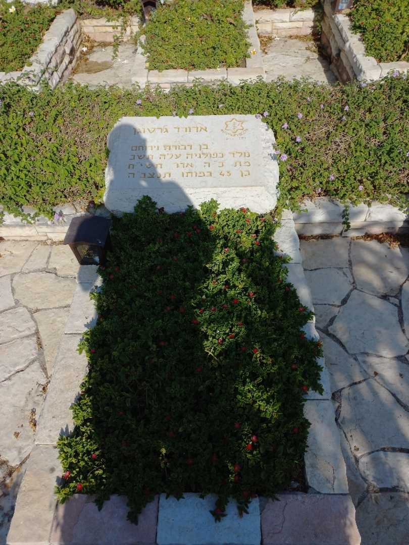 קברו של אדורד גרטוגן