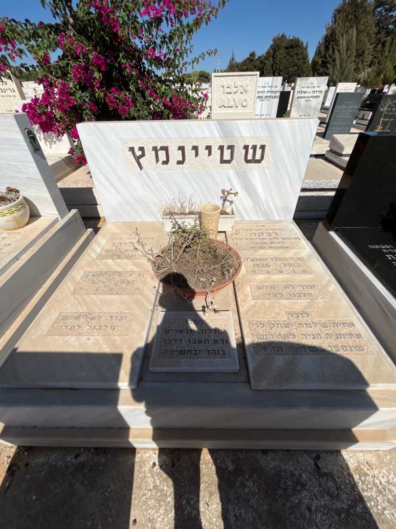 קברו של רבקה שטיינמץ. תמונה 2