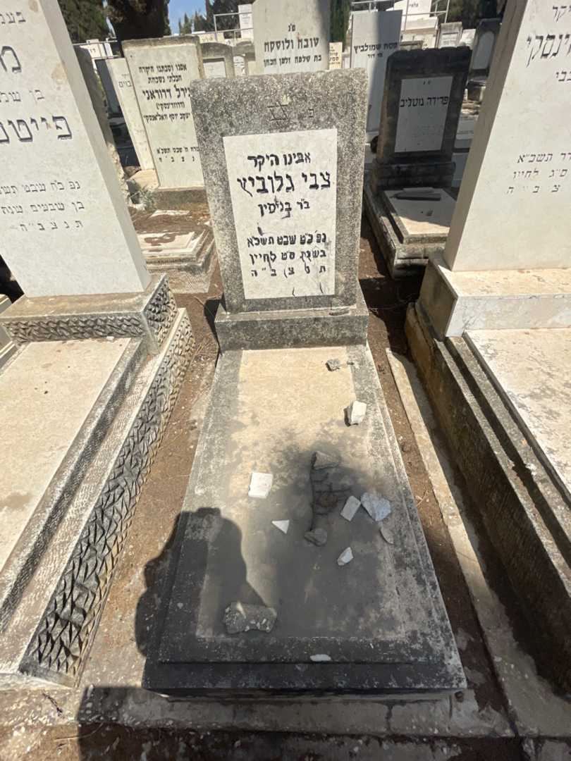 קברו של צבי גלוביץ