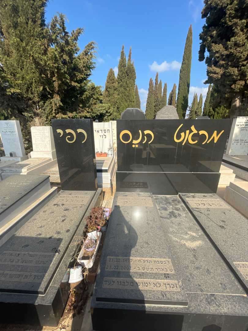 קברו של רפי ברבלק. תמונה 1