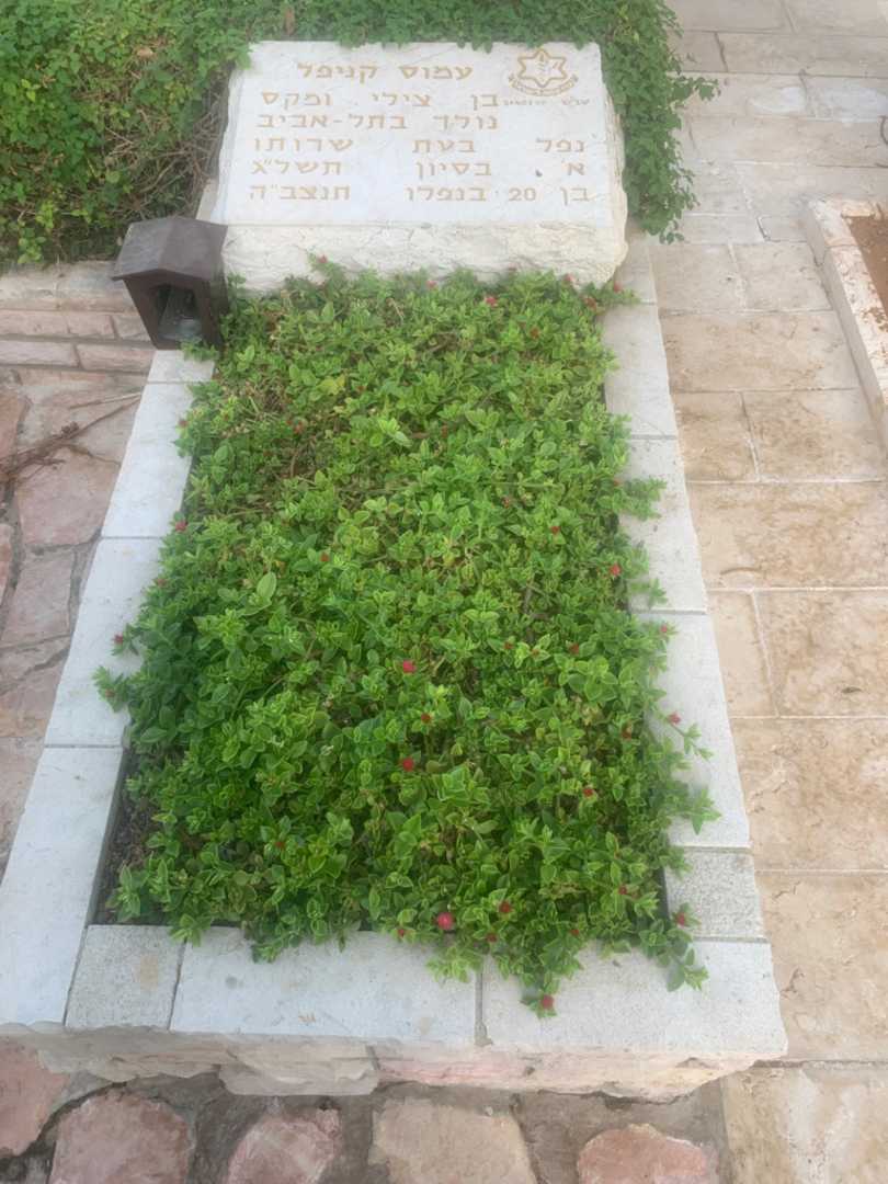 קברו של עמוס קניפל