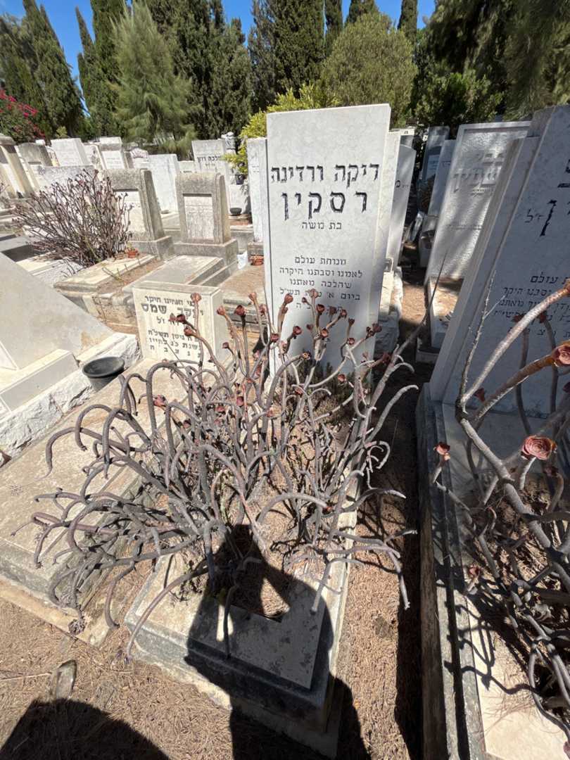 קברו של ריקה ורדינה רסקין. תמונה 2