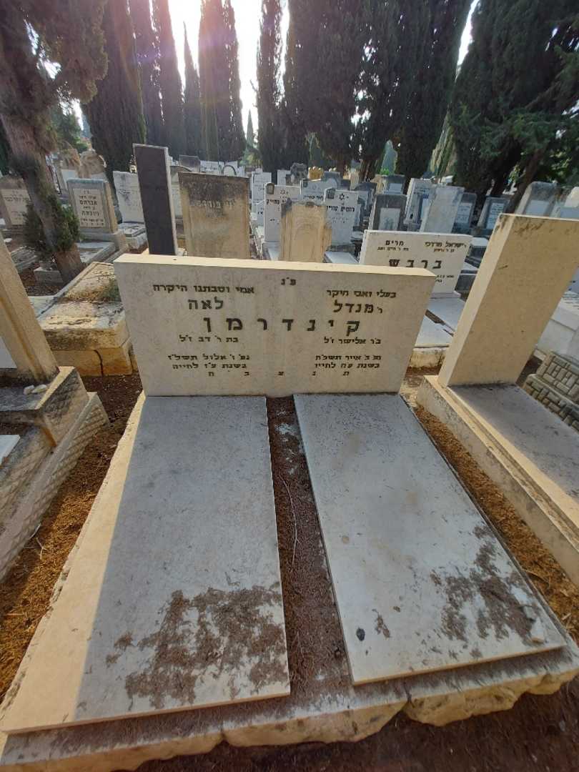 קברו של מנדל קינדרמן. תמונה 2