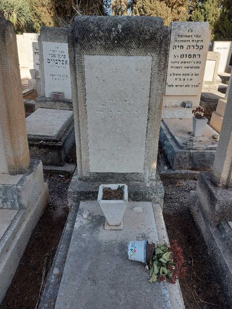 קברו של יהושע נייגר