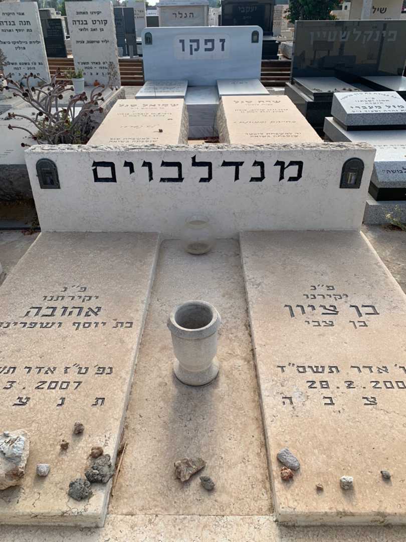 קברו של בן ציון מנדלבוים. תמונה 1