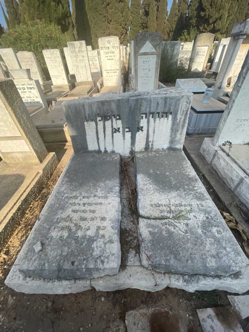 קברו של בוניה הורוביץ הלוי. תמונה 1