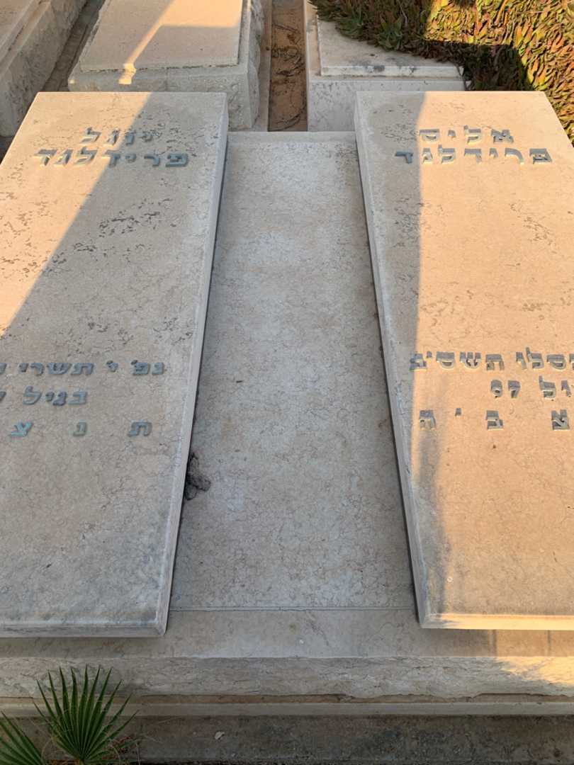 קברו של אליס פרידלנד. תמונה 1