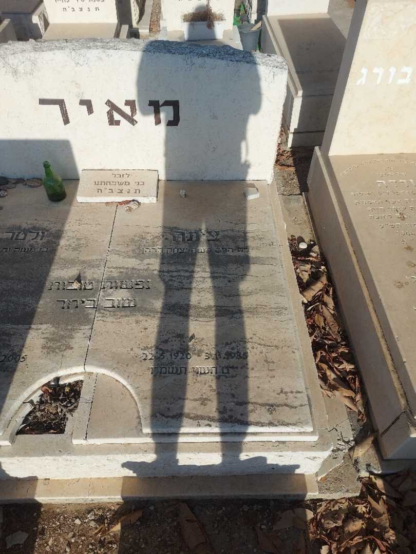 קברו של ציונה מאיר. תמונה 1