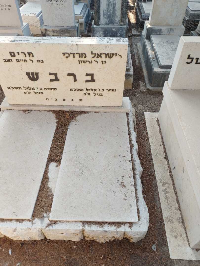 קברו של ישראל מרדכי ברבש. תמונה 2