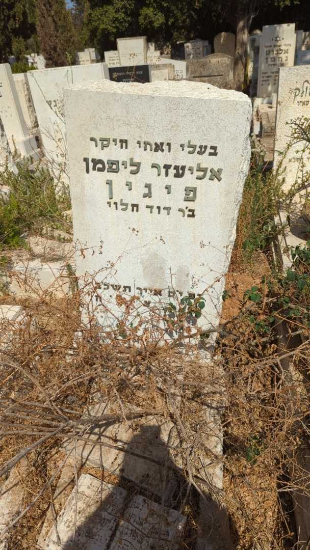 קברו של אליעזר ליפמן פיגין