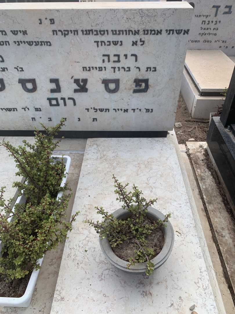 קברו של ריבה פסצ׳נסקי רום. תמונה 1