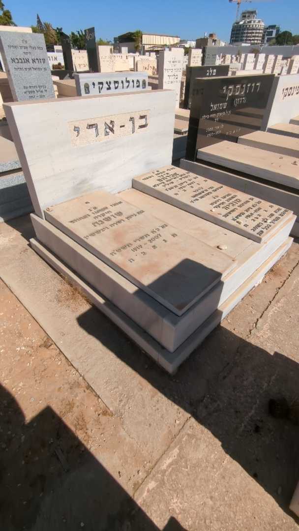 קברו של אברהם בן - ארי. תמונה 2