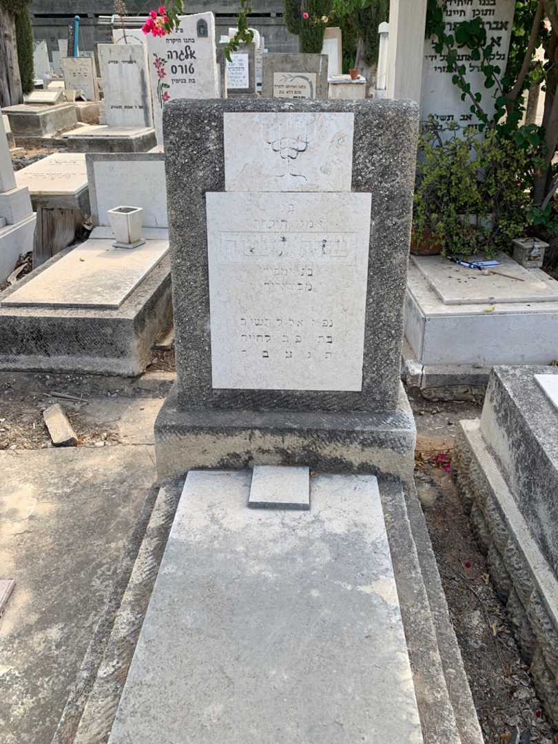 קברו של שדה טנשה