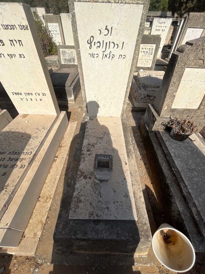 קברו של וז ר ו ררונוביץ